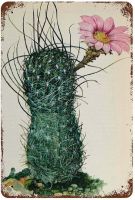 Vintage Picture of Cactus for Framing 6 Retro Metal Tin Sign Retro Wall Decor Vintage Kitchen Baking Tin Sign Per Home Wall