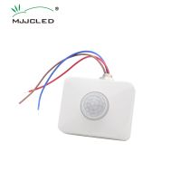 ◑✸☄ Motion Sensor 220V 12V Motion Detector Sensor Timer 110V Automatic Infrared PIR Sensor 220V Outdoor Movement Sensor Light Switch