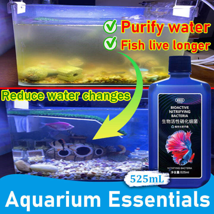 SuSe🐟Create healthy fish tank Nitrifying bacteria aquarium Break down