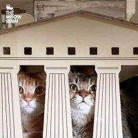 The Meowseum รุ่น "The Parthenon"  ที่ลับเล็บแมวดีไซน์ ของเล่นแมว บ้านแมว ทรงวิหารโบราณพาร์เทนอน