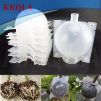 QKKQLA 8cm Plant Rooting Grow Box Breeding Case 5pcs High Pressure Gardening Plant Root Device Ball for Garden Grafting