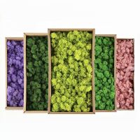 20/40g DIY Artificial Green Plants Eternal Life Moss Grass Home Living Room Garden Decoration Mini Landscape Fake Flower