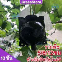 ♟【Grace】10 ชิ้น -5812ซม.การปลูกถ่ายอวัยวะกล่องพืชการรูทเติบโตกล่องปลูกพืชแรงดันสูง Propagation Ball Layering Pod เครื่อ♒