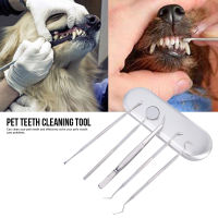 Silver Pet Teeth Tartar Remover Stainless Steel Pet Teeth Cleaning Tool Remover for Pet Cleaning Tool Pet Teeth Teeth Cleaning