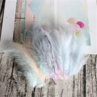 Plumes Turkey Feathers 4-6 Inches 10-14cm Plumas Marabou for Jewelry Making 50pcs