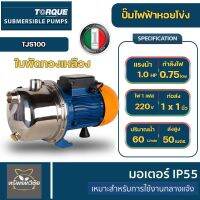 Torque รุ่น TJS-100 ปั๊มหอยโข่งทอร์ค ทรงพลัง ทั้งสูบ! ทั้งส่ง! ต้องรุ่นนี้เลย! ปั๊มหอยโข่งไฟฟ้า ตัวสแตนเลส