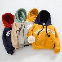 ZZOOI 1 2 3 4 5 Years Winter Boys Hoodies Keep Warm Handsome Fashion Baby Jacket Hooded Long Sleeve Girls Sweatshirt New Kids Clothes