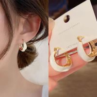 2023 Popular French Light Luxury and Popular Design Earrings Temperament Premium Spring and Autumn Earrings ins Simple Silver Earrings 71JF 71JF