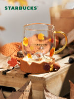 Starbuck Cup 480Ml Fallen Leaves Glass With Squirrel-Shaped Coaster Creative Home Office Desk Cup