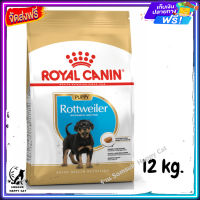 ส่งรวดเร็ว ?  Royal Canin Rottweiler Puppy อาหารสำหรับลูกสุนัขพันธุ์ร็อตไวเลอร์ ช่วงหย่านม-18เดือน ขนาด 12 kg.   ✨