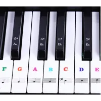 Piano Keyboard Stickers for Beginner 49 54 61 88 Electronic Keys Notes สติ๊กเกอร์ติดเปียโน melodian sticker stickers