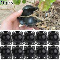 hot【DT】 5pcs/10pcs plant rooting equipment high pressure propagation ball nursery box grafting  seedlings