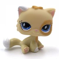 LPS CAT Littlest pet shop bobble head toys Old original SIAMESE cat 521 Yellow Orange Persian kitty cute blue eyes