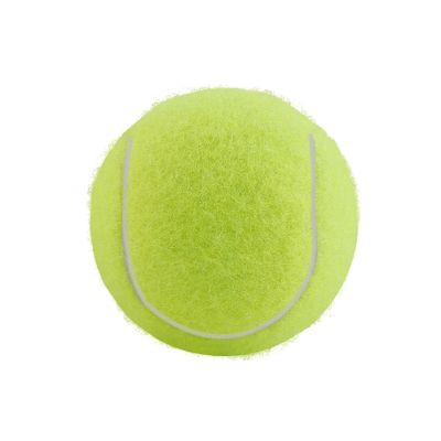 Tennis Balls Practice Training Outdoor Elasticity Durable for Dogs Bite and Chomp 6.5CM Dog