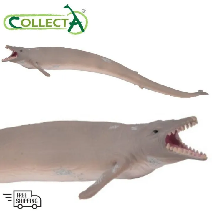 Basilosaurus Collecta 88797 Prehistoric Life Dinosaur Action Figures