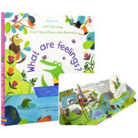 Usborne what are feelings what is emotional intelligence of emotional children emotional English Enlightenment cognition picture book Lala Book flipping mechanism Book Usborne English original imported book