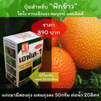 ปุ๋ยฟักข้าว ปุ๋ยน้ำ FK-1 ประสิทธิภาพสูง ทดแทนปุ๋ยเม็ด ประหยัด ลดต้นทุน เพิ่มผลผลิต ผสมน้ำได้ 400ลิตร โปรดอ่านวิธีใช้