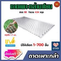 **ส่งฟรี**ถาดเพาะกล้านาโยน มี 434 หลุม มีให้เลือก 1-700 ชิ้น ถาดนาโยน เพาะกล้านาโยน ทำนาโยน ถาดปลูกกล้านาโยน  ถาดเพาะกล้า ถาดเพาะนาโยน