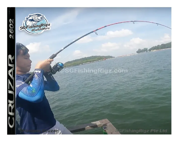 shimano cruzar 2602 fishing rod