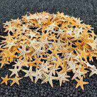 100 Pieces 1-2cm Natural Starfish Shell Beach Wedding DIY Beach Crafts Home Decoration