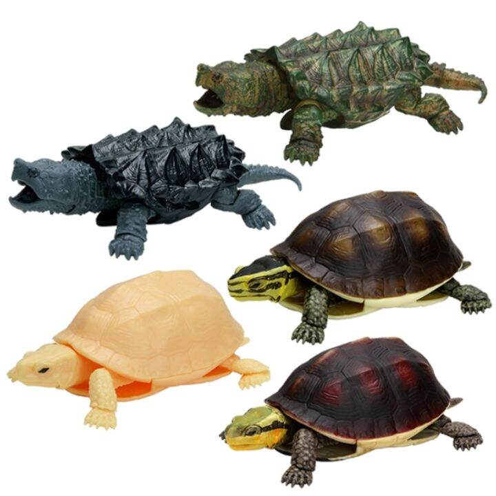 Bandai Original Gashapon Tortoise Simulation Creature Series 04 Closed ...