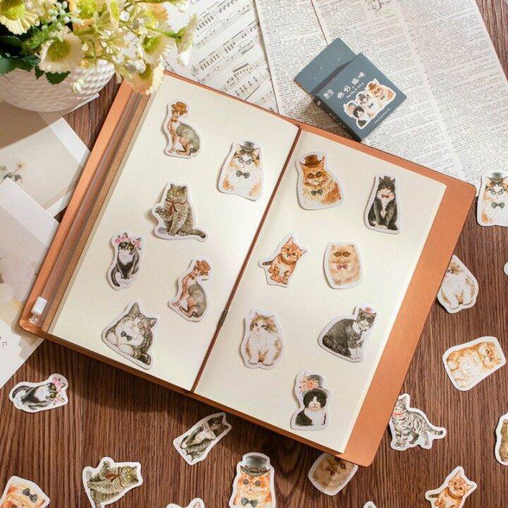 สติกเกอร์กระดาษไดอารี่ลาย-diy-ขนาดเล็กแมวแสนซนของฉัน45ชิ้น-กล่องสติกเกอร์ตกแต่งสมุดติดรูปอัลบั้มสติกเกอร์ตกแต่งสติ๊กเกอร์เครื่องเขียนและป้ายน่ารัก