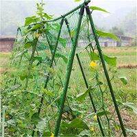 【hot】♣  1.8x1.8M New Garden Trellis Netting Support Climbing Nets Fence