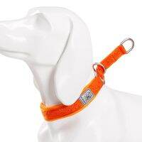 TRUELOVE Pet Collar Nylon Webbing P-chain Explosion-proof Neoprene Padding Pets Running Training Large Medium Small Dogs YC1851
