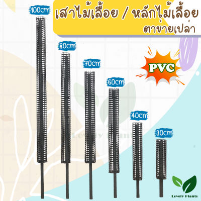 หลักไม้เลื้อย / เสาไม้เลื้อย ตาข่ายเปล่า (PVC)