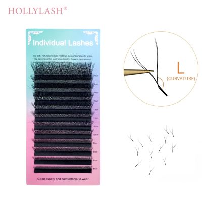 HOLLYLASH Brown Black L Curl Y Shape Eyelashes Beauty Health Individual Eyelashes Extension Private Label Supplies Makeup Cables Converters