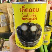 เห็ดถอบในน้ำเกลือ  เห็ดถอบกระป๋อง ขนาด 500  (เนื้อ 250/น้ำ 250) เห็ดถอบ เห็ดถอบกระป๋อง ตราภูเขา เห็ดเผาะ เห็ด เห็ดเผาะกระป๋อง