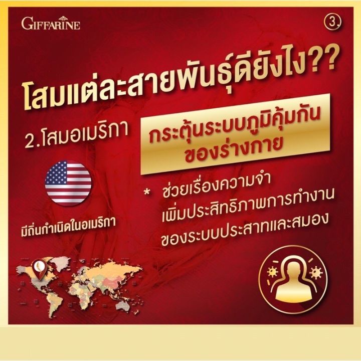 โสม-3-สายพันธุ์-สารสกัดจากโสมแดงเกาหลี-โสมอเมริกัน-โสมไซบีเรีย-โสมสกัด-ชนิดแคปซูล-กิฟฟารีน-ของแท้-ส่งฟรี