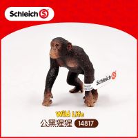 14817ชิมแปนซี Schleich จากเยอรมันป่าแอฟริกันสัตว์ป่าจำลองของขวัญของเล่น