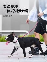สายจูงสุนัขสุนัขเดินได้ P Chain สำหรับสุนัขสัตว์เลี้ยงเชือกจูงสุนัขขนาดเล็กโซ่จูงสุนัขกันระเบิด