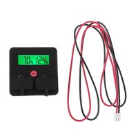 Voltage Battery Capacity Indicator 12V 24V Li-ion Lifepo4 Lead Acid Double USB