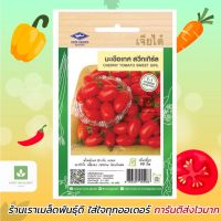 มะเขือเทศเชอร์รี่ สวีทเกิร์ล Cherry Tomato มะเขือเทศ เจียไต๋ ?