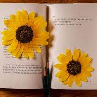 ▲▫ 6-11cm/4pcsnature pressed Sunflower petalsdried flowers DIY plant specimens graft bookmarks photo frames phone case decoration