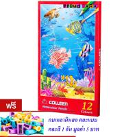 Colleen ดินสอสีไม้ระบายน้ำ คลอรีน 12 แท่ง 12 สี รุ่น Watercolour Pencils (แถมฟรีกบเหลา 1 อัน)