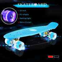 22 Inches Four-wheel Mini Longboard Pas Color Skate Board skateboard with LED Flashing Wheels Retro Skateboard