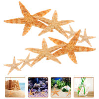 Funnmall 100pcs Star Decor Shell Craft Decorative Shell ตกแต่ง Diy Star Decor Decor