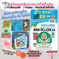 Ortran DX granules Insecticide 1Kg. เม็ดโรยกำจัดแมลง ทั้งบนต้นและในดิน! สำหรับดอกไม้และพืชผัก ยอดฮิต