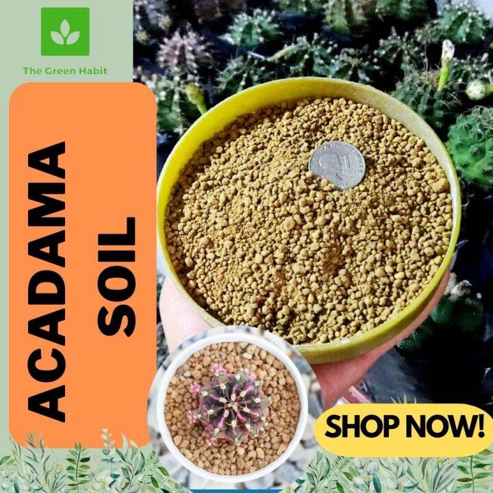 TGH Premium Akadama Soil Blend Perfect Medium for Bonsai Cactus and