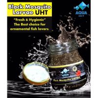 Pro +++ ลูกน้ำ UHT ( Black Mosquito Larvae ) 75 กรัม ราคาดี อาหาร ปลา อาหารปลาคราฟ อาหารปลากัด อาหารปลาสวยงาม