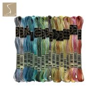 【CW】 Color Variations Embroidery Floss Pack Variegated Thread Leave 8.7 Yard