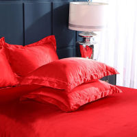 2PCS Silk Pillowcase Cushion Cover Hair Skin Pillow Cases Cover Soft And Smooth Decor Sofa Room New Summer