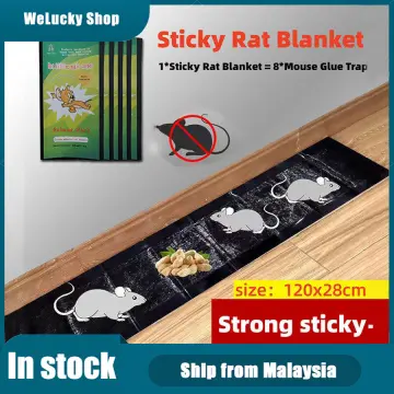 Mouse Glue Traps with Enhanced Stickiness, Rat Mouse Traps, Snake Mouse  Traps Sticky Pad Board for House Indoor Outdoor 