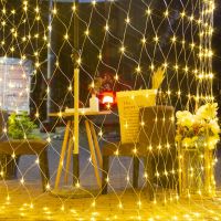 ZZOOI 3MX1M 3Mx2M Christmas Garlands LED String Christmas Net Lights Fairy Xmas Party Garden Wedding Decoration Curtain Lights