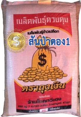 ส่งฟรี เมล็ดพันธุ์ข้าวเหนียว สันป่าตอง 1 (บรรจุ 25 กก.)