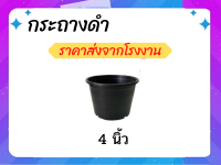 กระถางต้นไม้พลาสติก กระถางกระบองเพชร กระถางแคคตัส 4 นิ้ว  10 ใบ