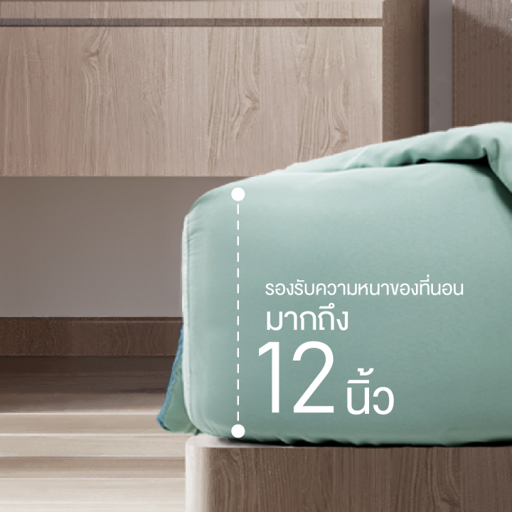 ibed-ชุดเซ็ทผ้าปูที่นอน-2tones-สีมงคลปีมะเส็ง-12-นักษัตร